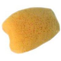 Natural Sea Sponge