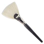 Facial Treatment Fan