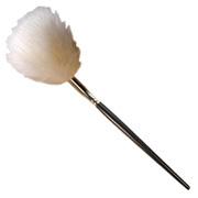 Feather Duster