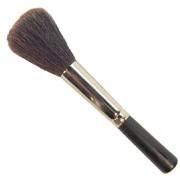 Mini Dome Duster