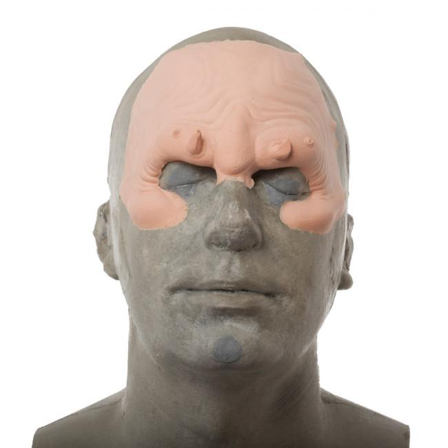 Rogue Planet FX Facial Pieces - GOBLIN