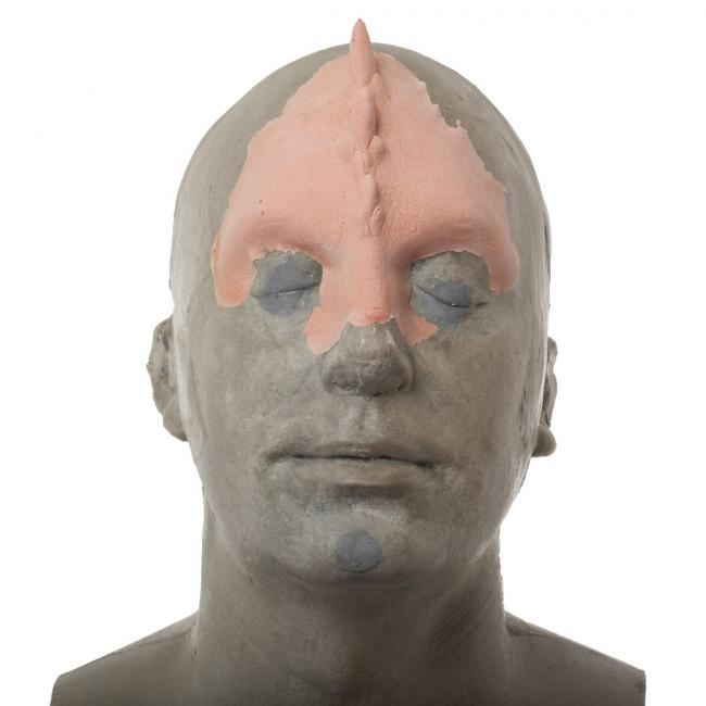 Rogue Planet FX Facial Pieces - HORNED HEAD