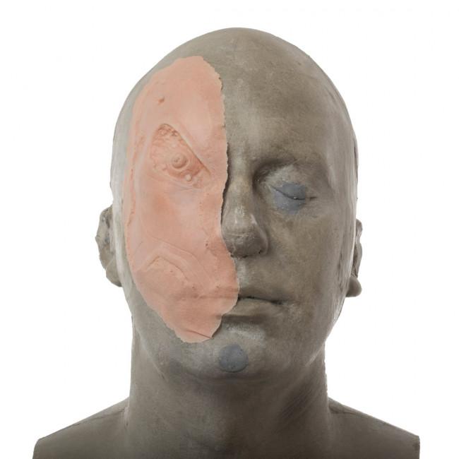 Rogue Planet FX Facial Pieces - METAL HEAD