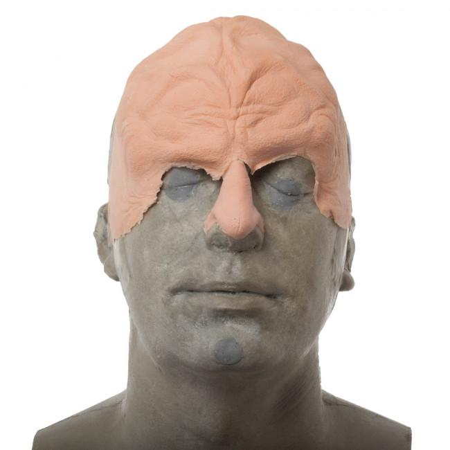 Rogue Planet FX Facial Pieces - RIDGED BROW